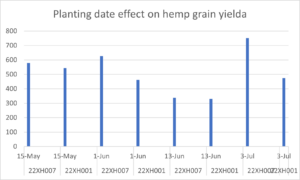 Planting date effect on grain yield