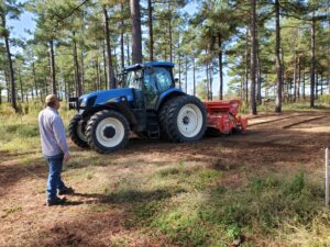 Tillage in pinewood plots