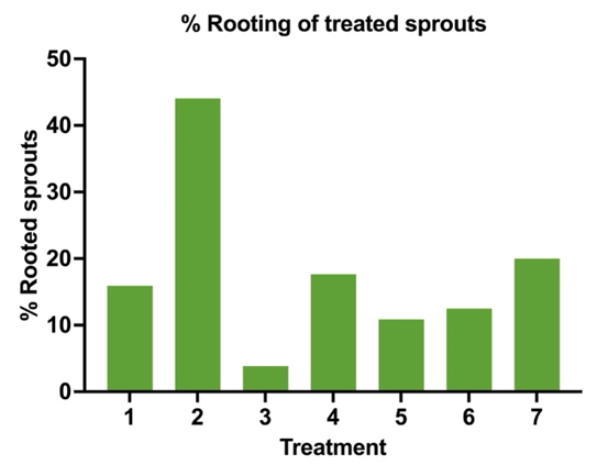 A simplified plot showing rooting percentages by hormone treatment to better illustrate the differences and how Treatment #2 using 4000ppm IBA-K in Vaseline is the best treatment for rooting chestnut suckers(a.k.a. sprouts) at Z's Nutty Ridge.
