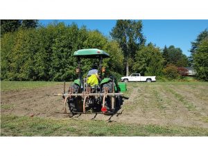  Undercutting before seeding fall cover crops in continuous reduced tillage treatment.