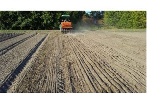 Planting cover crops with minimum till drill in continuous reduced tillage treatment.