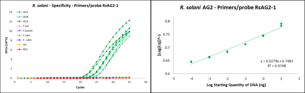 qPCR curves with (left) x-axis being the number of cycles and y-axis the relative fluorescent units (RFUs) and (right) a logarithmic curve with the x-axis set as the log of starting quantity DNA and the y-axis the inverse log of RFUs.