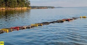 Phase I field testing with oyster farmers