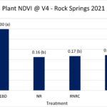Graph showing plant NDVI at V4 at Rock Springs 2021