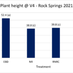Graph showing plant height at V4 at Rock Springs 2021
