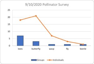 Pollinator Graph