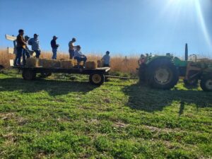 Farmers on Hay Wagon