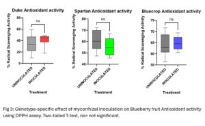 Genotype-specific effect of mycorrhizal fungi on Antioxidant activity of blueberry fruits.