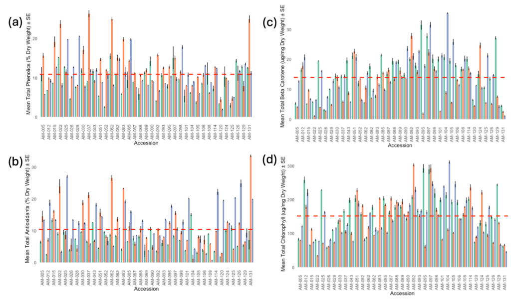 Figure 1: Nutritional Composition of 38 amaranth varieties, grown outdoors in the summer of 2022. The average composition across all varieties are as follows: 10.8% total phenolics (a), 10.4% total antioxidants (b), 13.9 ug/mg dry weight beta-carotene (c), and 151.6 ug/mg dry weight total chlorophyll (d). All selections for advancement were above the mean of at least one of these traits.