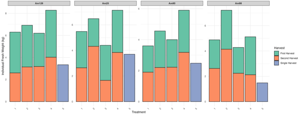 Biomass accumulation of harvest one and two within each treatment as compared to the single harvest control at the end of the production cycle. 