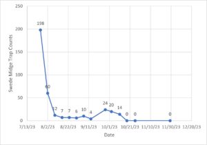 line graph showing swede midge counts from July 13 to December 20 2023