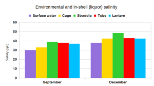 In shell salinity