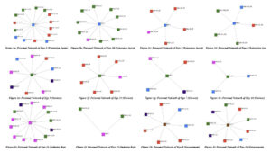 Image illustrating a sample of the personal network structures from different study participants