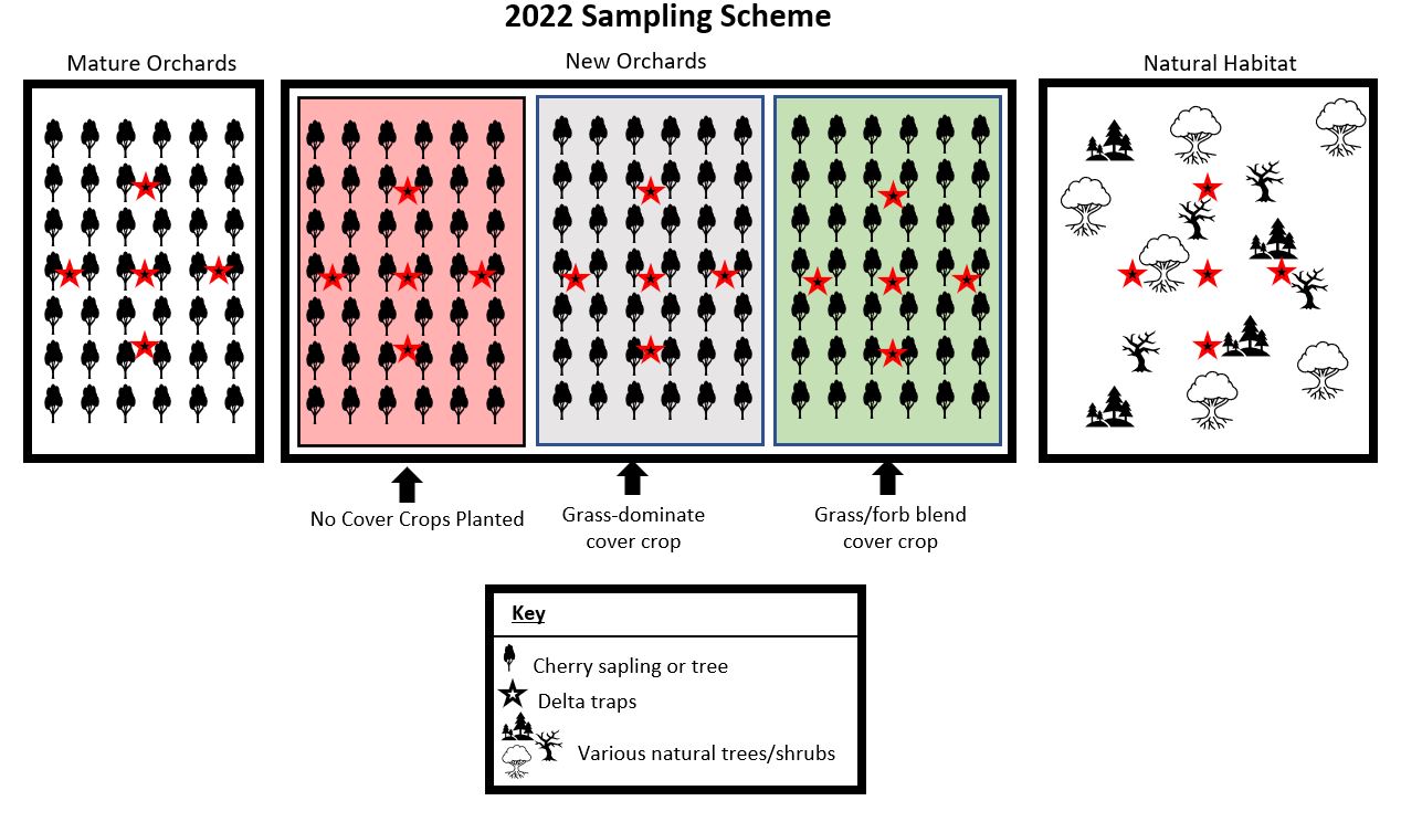 Updated Figure Sampling Schematic