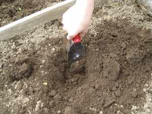 Digging for soil samples