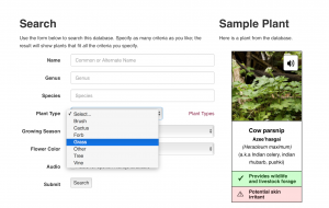 Search fields and an image of cow parsnip (a sample plant showing what the database will produce in response to search).