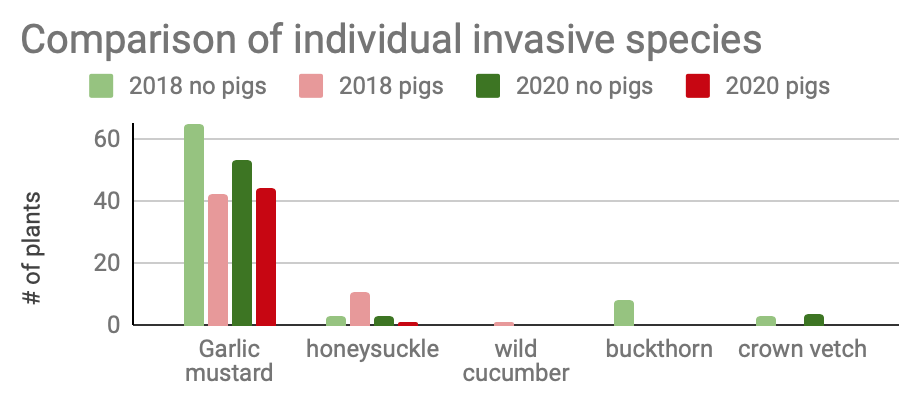 Count of individual invasive species
