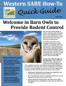 Western SARE Quick Guide titled Welcome in Barn Owls to Provide Rodent Control