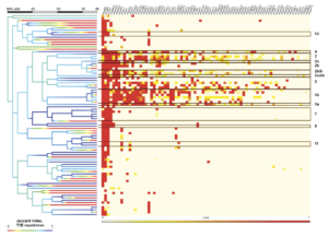 Figure 2: type 3 effector protein subfamilies found withing PSSC