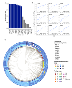 figure 1: reulsts of PCR primer tests