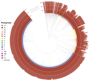 Figure 3: accuracy of type 3 effector protein subfamilies throughout PSSC