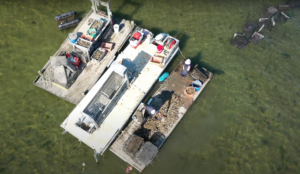 Farm crew emptying experimental group of oysters from floating bags, to be put on the bay bottom (October 2021)