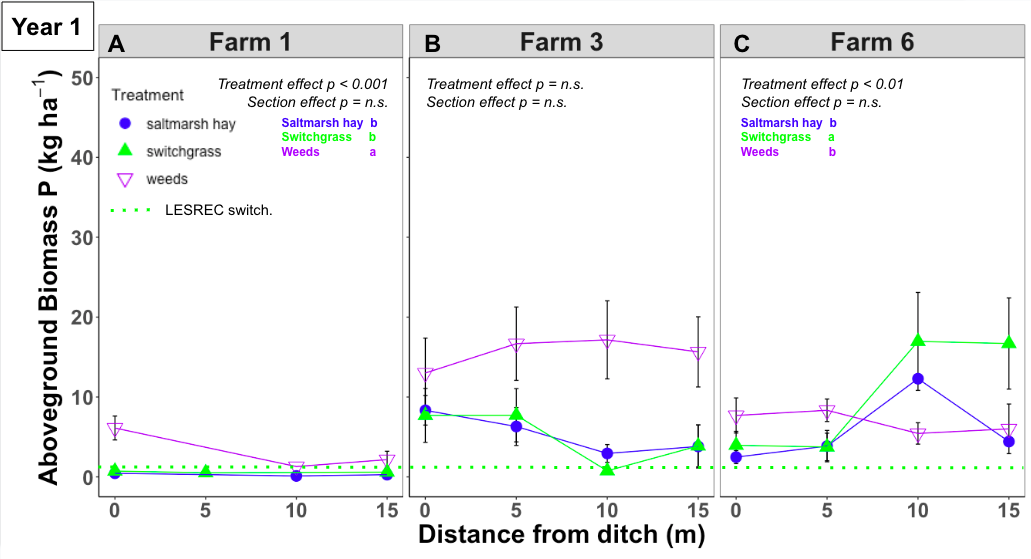 Plant aboveground biomass P pools along the salinity gradient from year 1