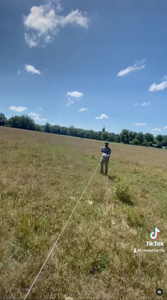 Man walks through an open pasture with polywire reel