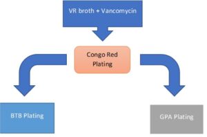 Scheme representation of parallel plating scheme