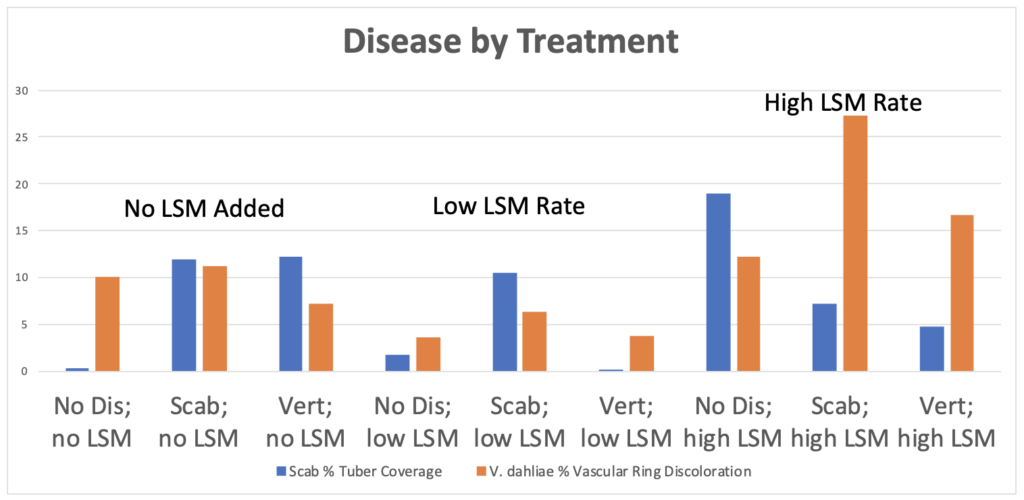 Figure 3. Disease symptoms observed following the first greenhouse trial. 