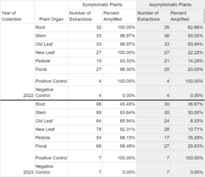 Phytoplasma detection by organ type