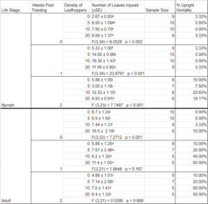 Feeding Injury Incidence