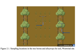 Sampling locations in tree row and alleyway at Westwind Farms.