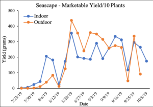 Graphs depicting strawberry marketable yield (g/10 plants) over growing season, individual charts by variety comparing indoor and outdoor production