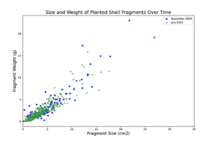 Figure 4: Shell Fragment Weight at Size