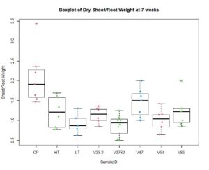 Box plot of root:shoot ratio from greenhouse screening