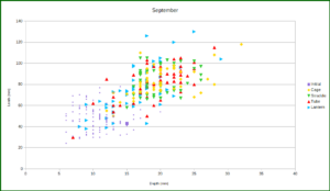 September size distribution length depth