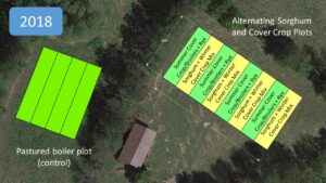 Field plot layout