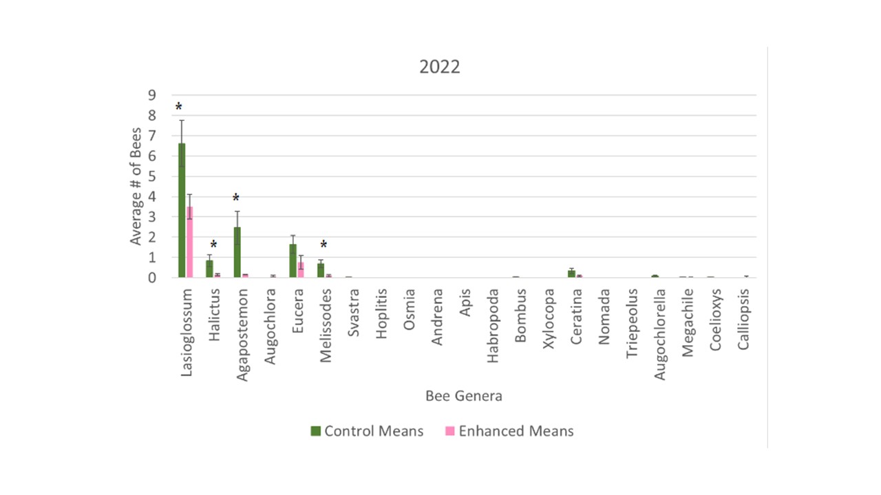 Average number of bees 2022