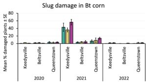 A bar chart showing the percent of plants with slug damage in three insecticide treatments across three years and three sites. Bars are very short for all of 2020 and 2022, while 2021 has slightly taller bars. 