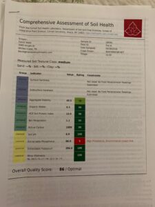 Plot B Soil Sample Results 418