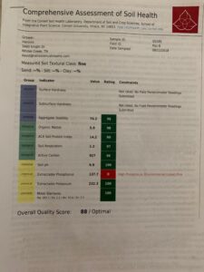 Soil Sample Plot B 818