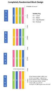 Trial plot plan layout showing 4 foot in-row spacing used from Year 2 onward. Credit: Dr. Norma Samuel, UF/IFAS, and Dr. Thomas Zimmerman, UVI.