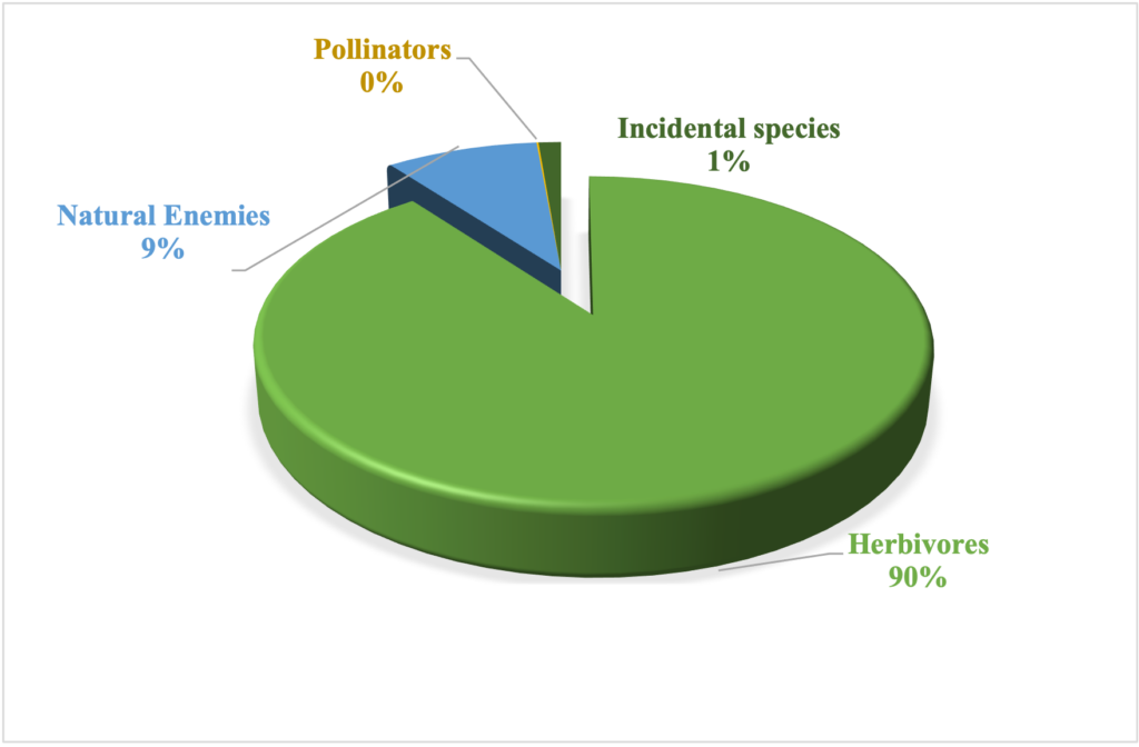 Insect functional groups of specimens collected in the 2022 insect survey in hemp fields in Pennsylvania.
