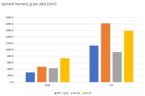 Spinach yield by treatment