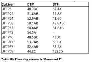 Table 1B