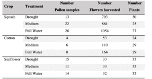 Table 1. Production of flowers and pollen categorized per crop and treatments; pollen samples weighted between 0.5 to 1 g. 