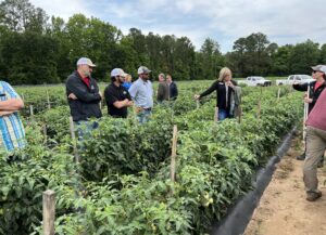 Agents learning about sustainable irrigation management techniques at Hamilton farms in South Arkansas.