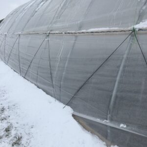 snow against the roll up sides of the tunnel, you can also see the anti billow cords that stabilize the plastic.