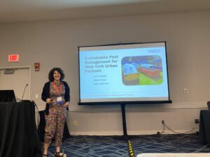 women standing in front of presentation